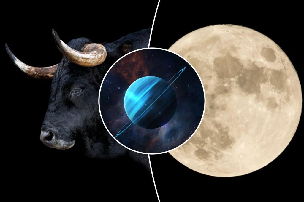 The Full Moon in Taurus is coming - hang on and ride until it wins you over